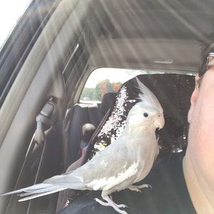 Meet your Posher, Betsy